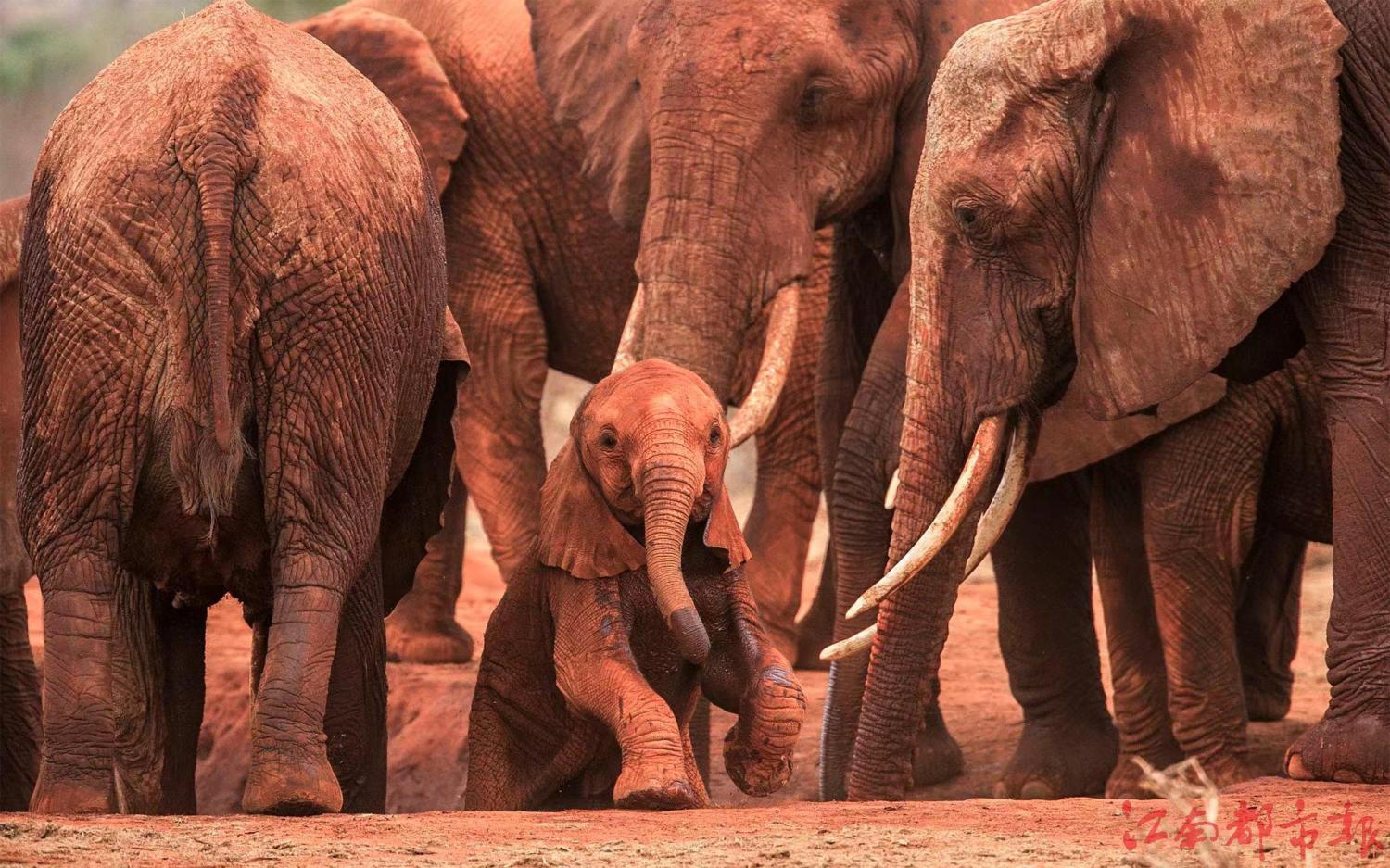 IMG_6873(20220708-091740).JPG IMG_6873(20220708-091740).JPG